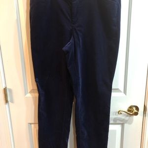 Talbots Velour Pants